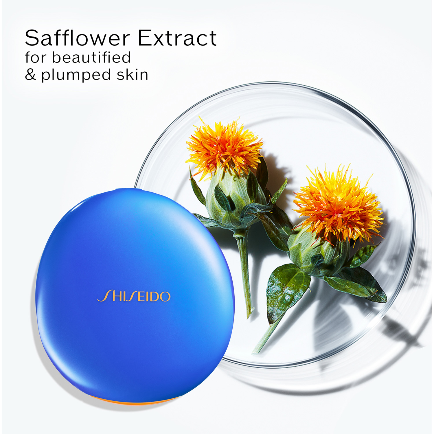 Global Sun Care UV Protective Compact Foundation