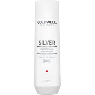 Dualsenses Silver