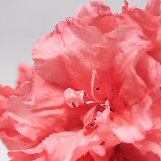 Moisturizing & Lipid