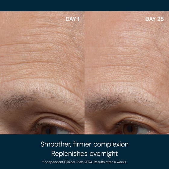 Pro-Collagen Night Cream