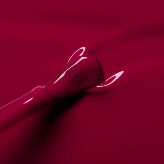 Flash Violetta