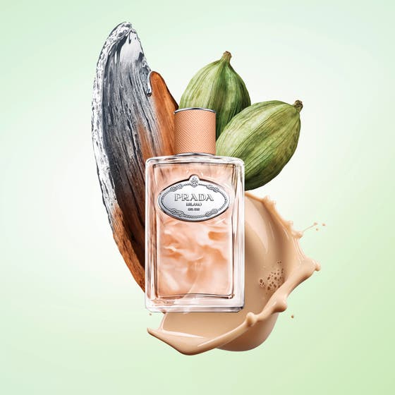 Les Infusions Infusion de Santal Chai