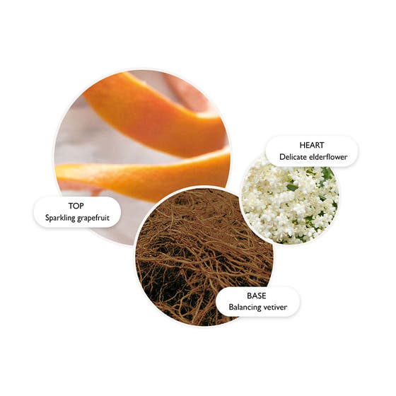 Vintage with Elderflower Bath & Shower Gel