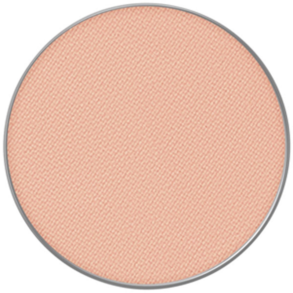 Powder Kiss Eye Shadow Pro Pale 10 GIVE A GLAM