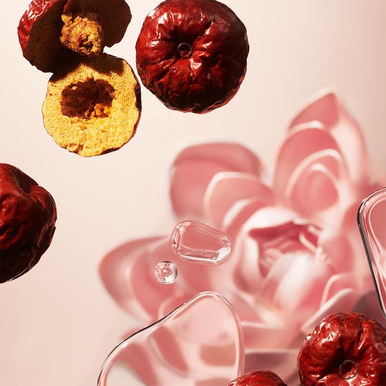 The Ritual of Jing Medium Gift Set