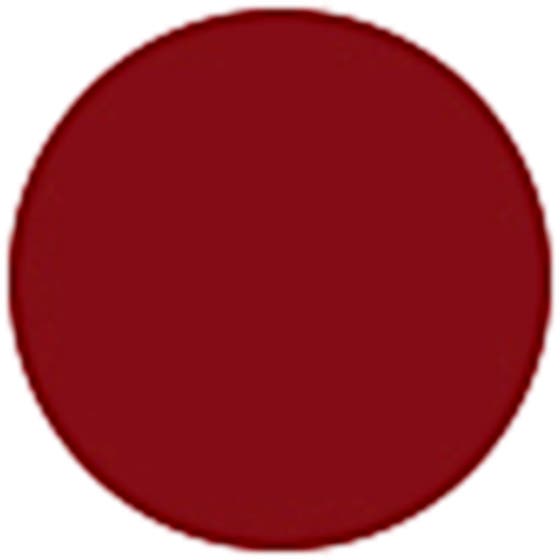 Rouge Intense Lasting Colour Lipstick