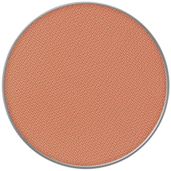 Powder Kiss Eye Shadow Pro Pale