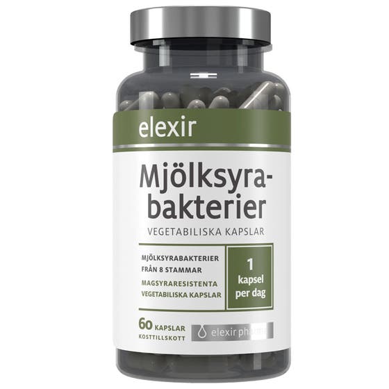 Mjölksyrabakterier
