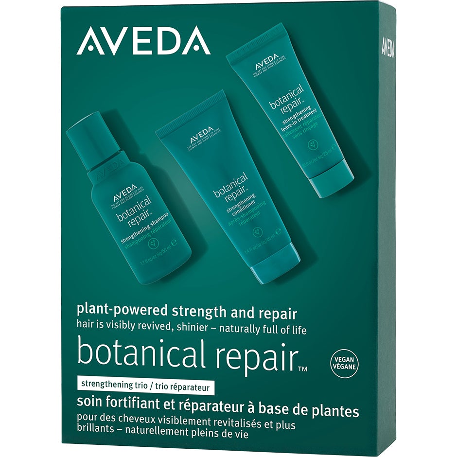 Aveda Botanical Repair Discovery Set