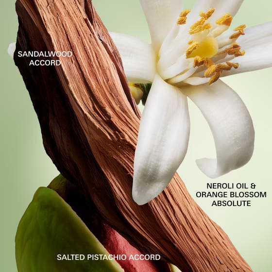 Paradoxe Radical Essence