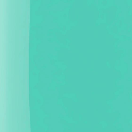 The Wonder Nail Polish Quick Dry & Longwear