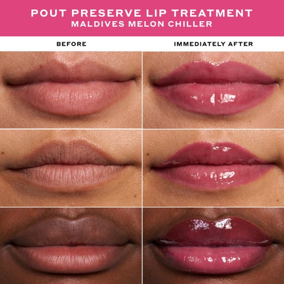 Mini Chiller Pout Preserve Lip Treatment Set