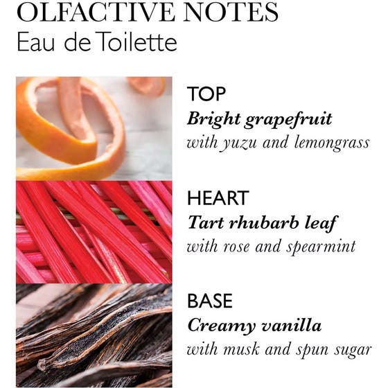 Delicious Rhubarb & Rose