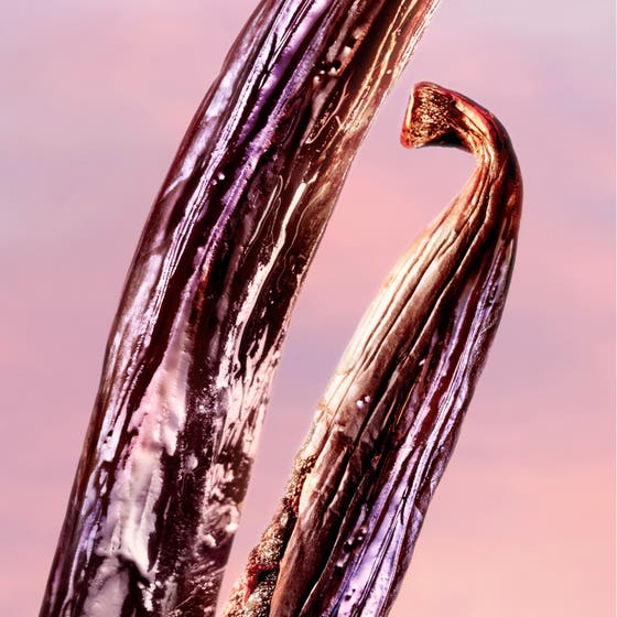 La vie est belle Vanille Nude