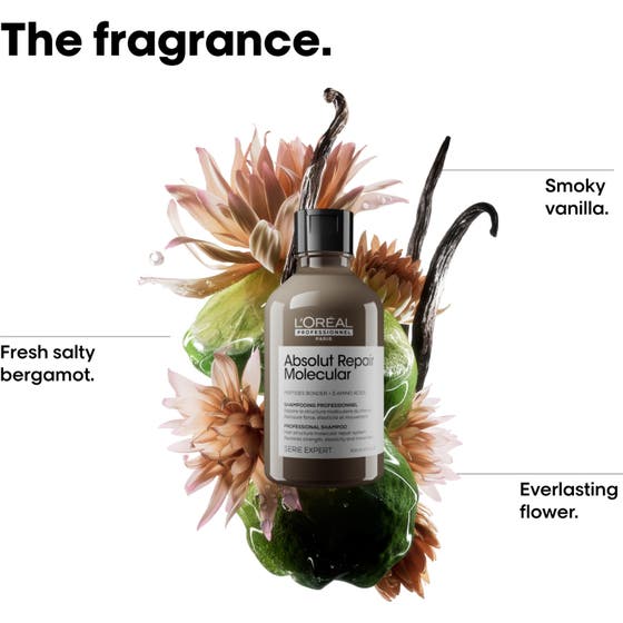 Absolut Repair Molecular