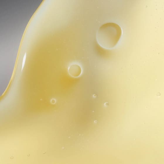 The Shroom Essence