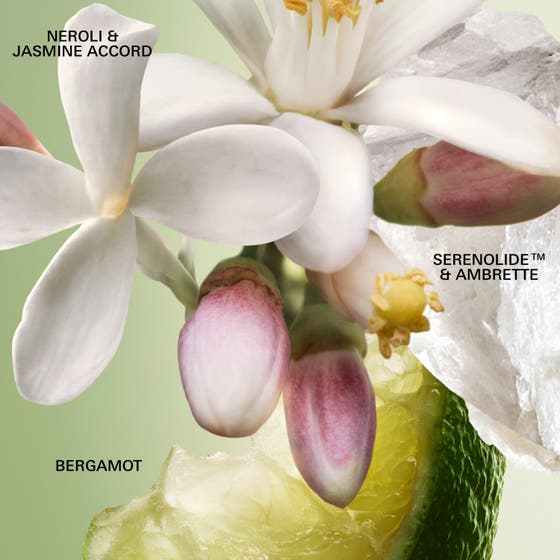 Paradoxe Virtual Flower