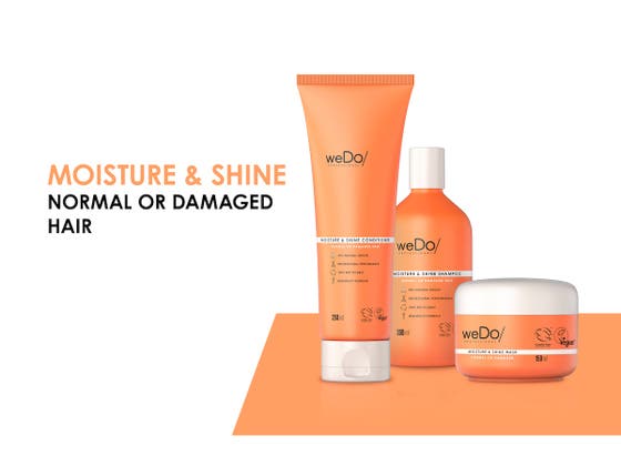 Professional Moisture & Shine Set