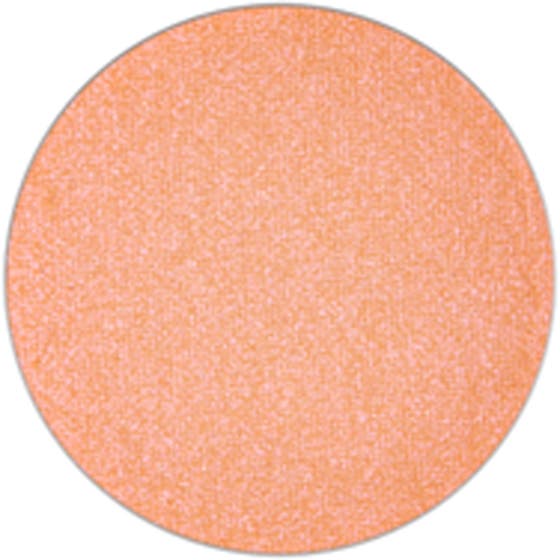 Frost Eye Shadow Pro Palette Refill