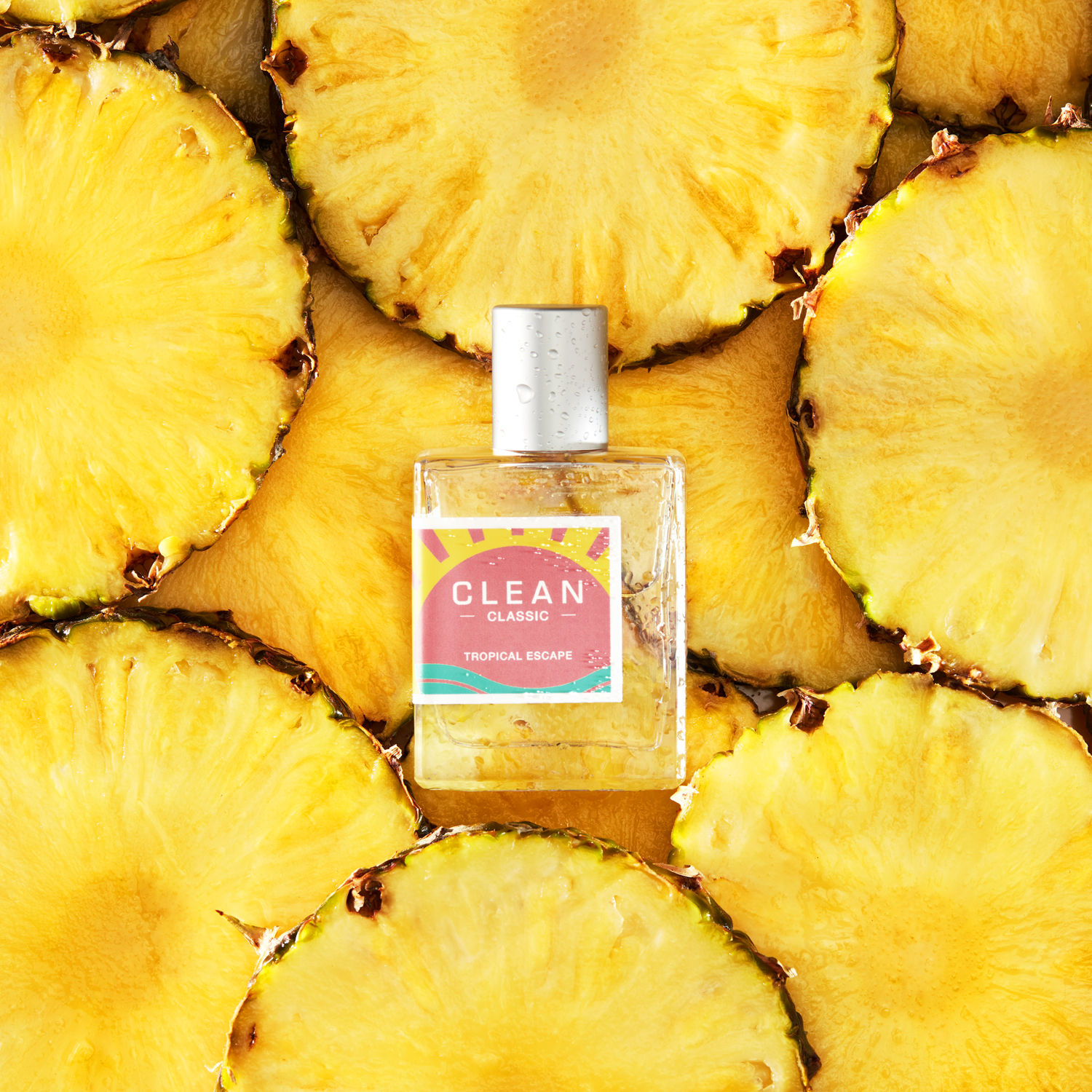 CLASSIC Tropical Escape