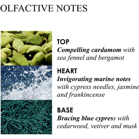 Coastal Cypress & Sea Fennel Body Lotion