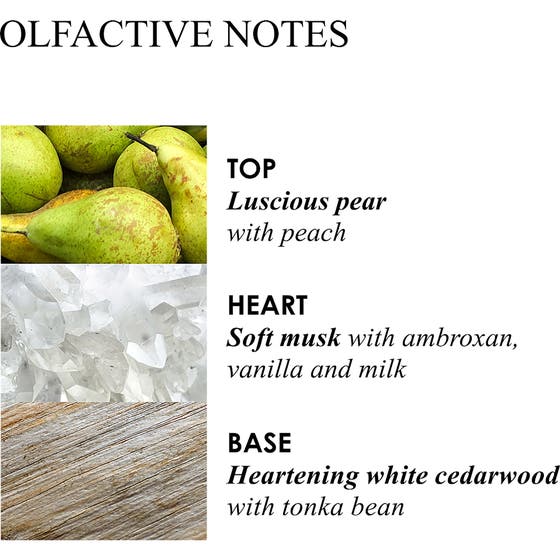 Milk Musk Body Lotion