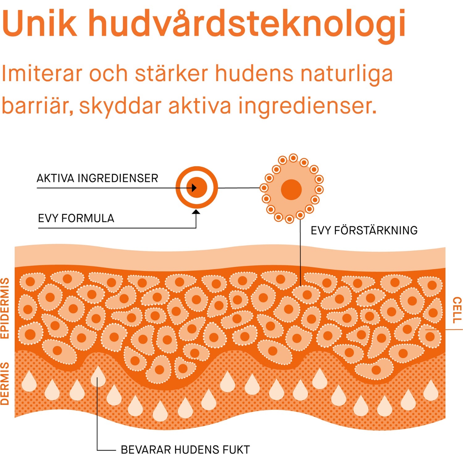 Sunscreen Mousse SPF50