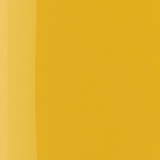 The Wonder Nail Polish Quick dry & Longwear