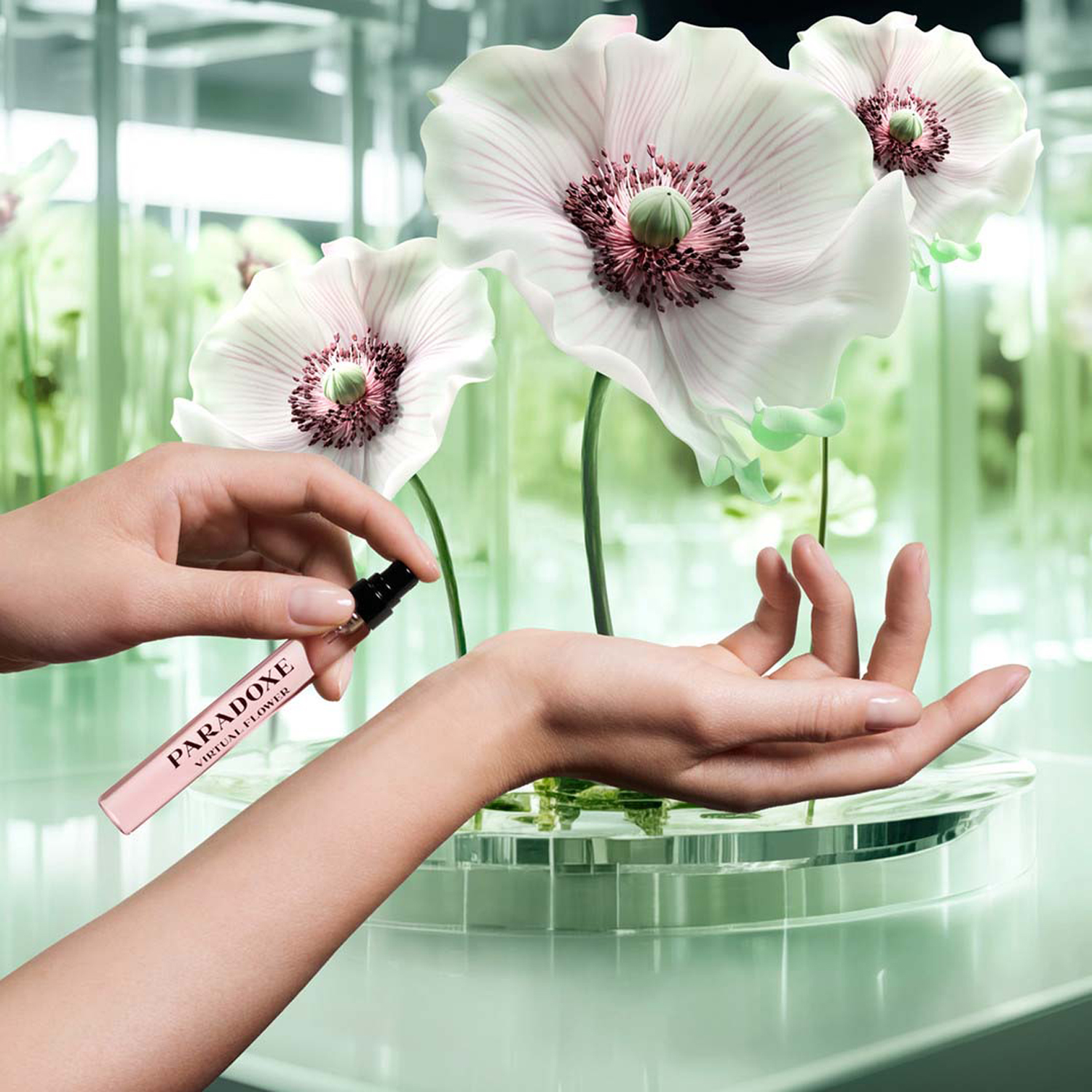 Paradoxe Virtual Flower