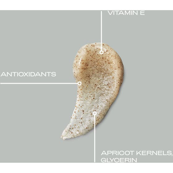 Everyday Polisher Antioxidizing Body Scrub