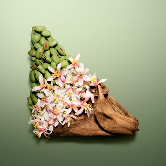 Paradoxe Radical Essence