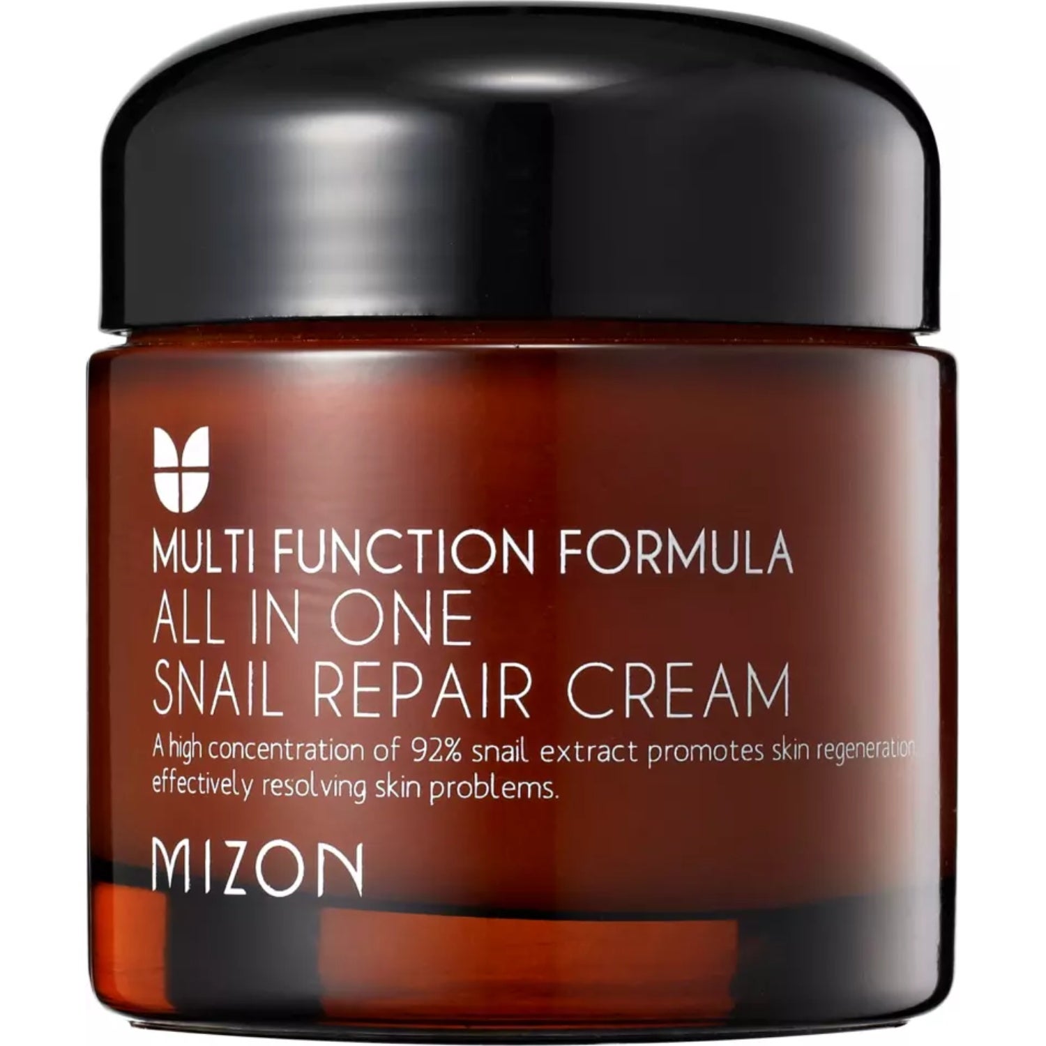Mizon All In One Snail Repair Cream