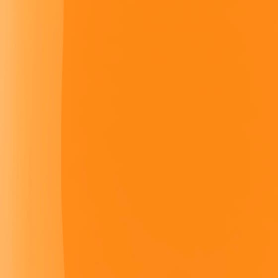 The Wonder Nail Polish Quick dry & Longwear