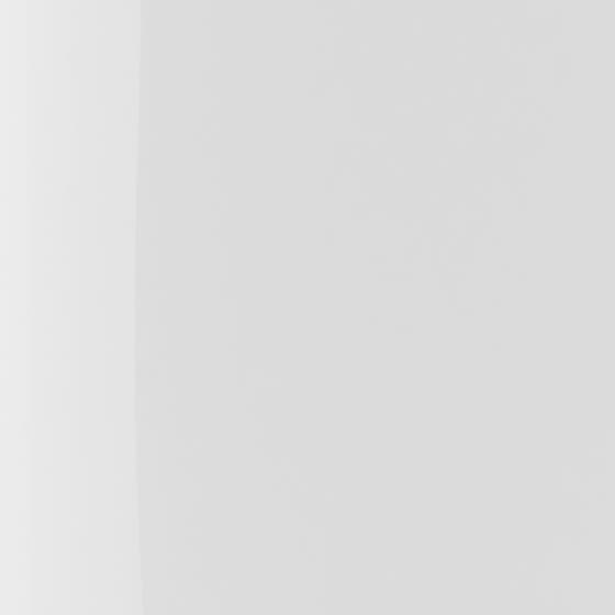 The Wonder Nail Polish Quick Dry & Longwear