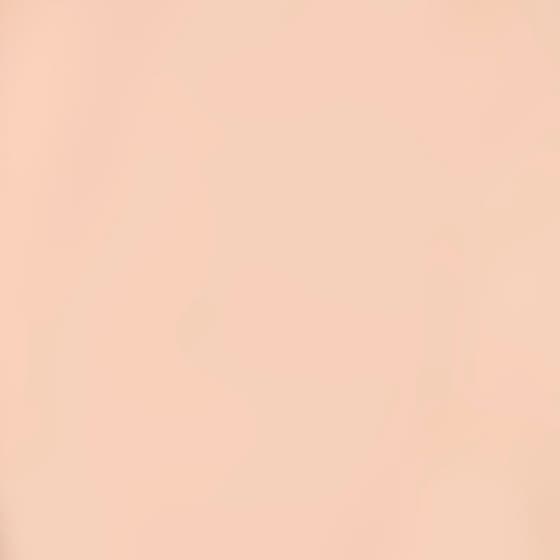 The Matte Eyeshadow Stick Longwear & Water-Resistant