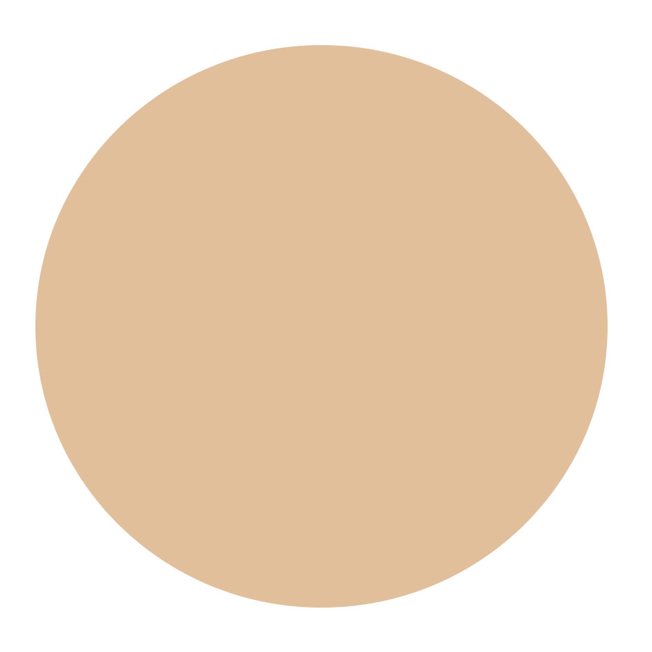 BB Skin Detox Fluid SPF25