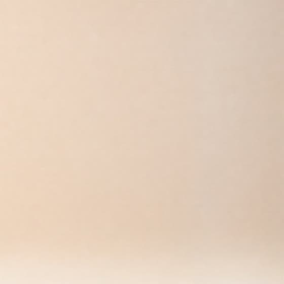 Natural Glow Fluid Foundation SPF20