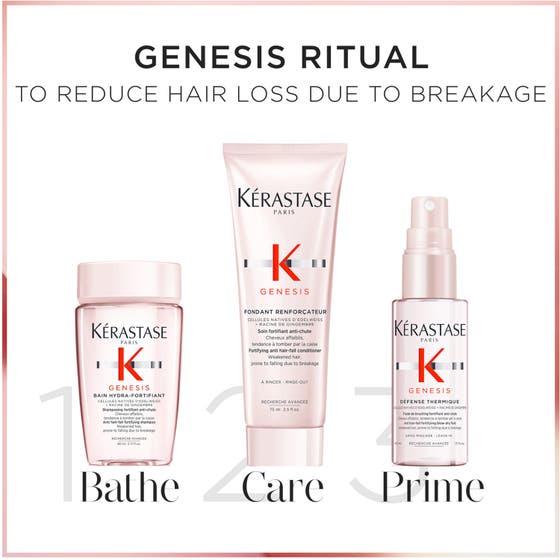 Genesis Essentials Set