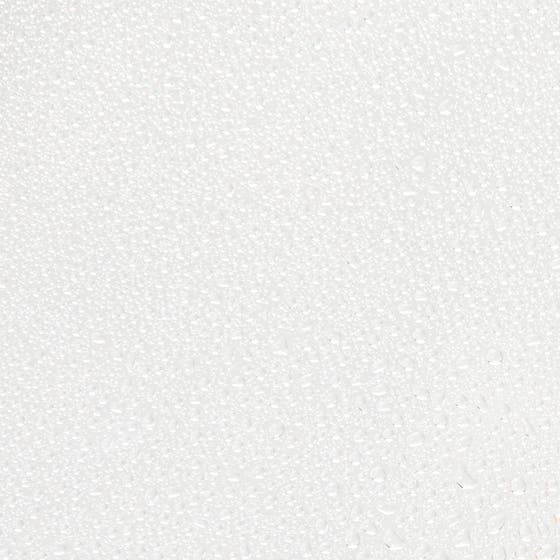 Active Algae Minty Mist