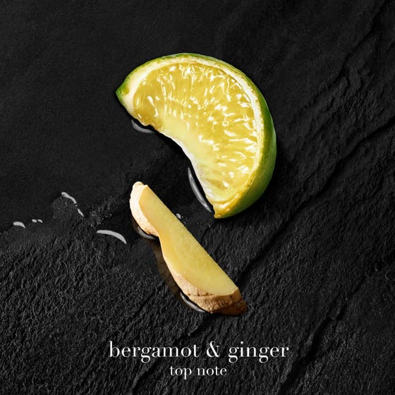 Acqua Di Giò Parfum Refill Pack