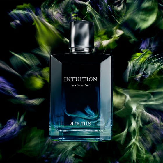 Intuition