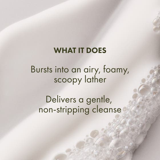 Checks and Balances™ Gentle Foaming Face Wash