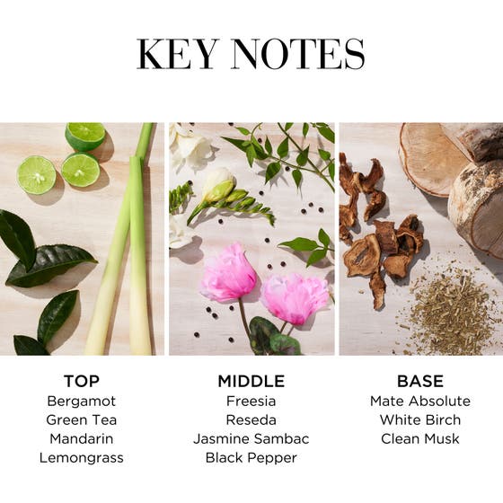 Green Tea Citron Freesia Body Cream