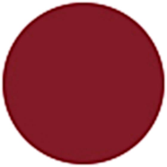 Rouge Intense Lasting Colour Lipstick