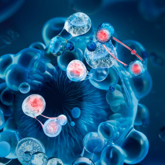 Blue Peptides Uplift Moisturizing Cream SPF30