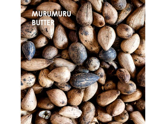 Professional Moisture & Shine Set