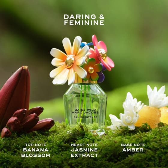 Daisy Wild Intense