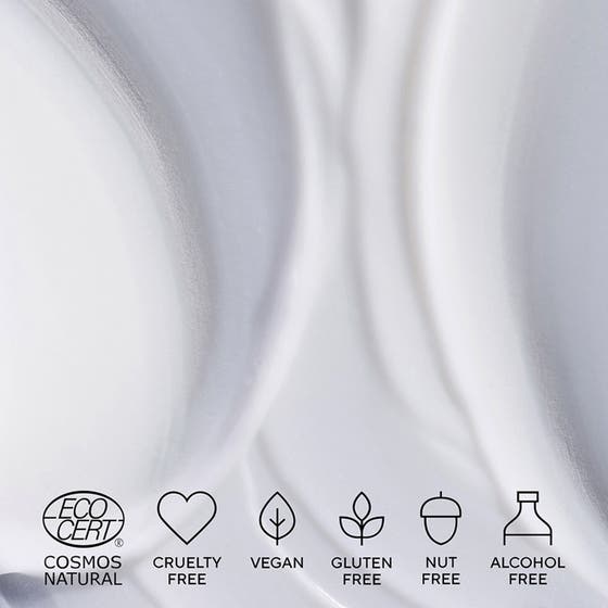 RETINOL ALTERNATIVE Plant-Powered Night Cream