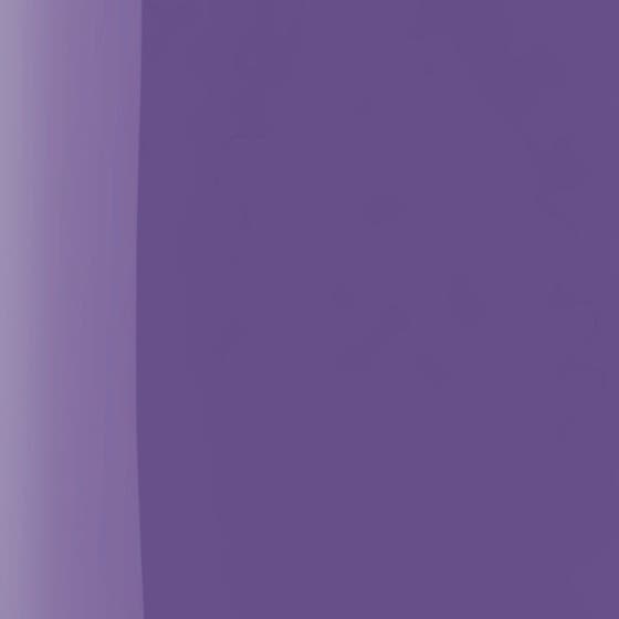 The Wonder Nail Polish Quick dry & Longwear