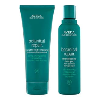 Botanical Repair Hair Duo